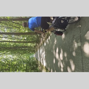 The paths are amazing