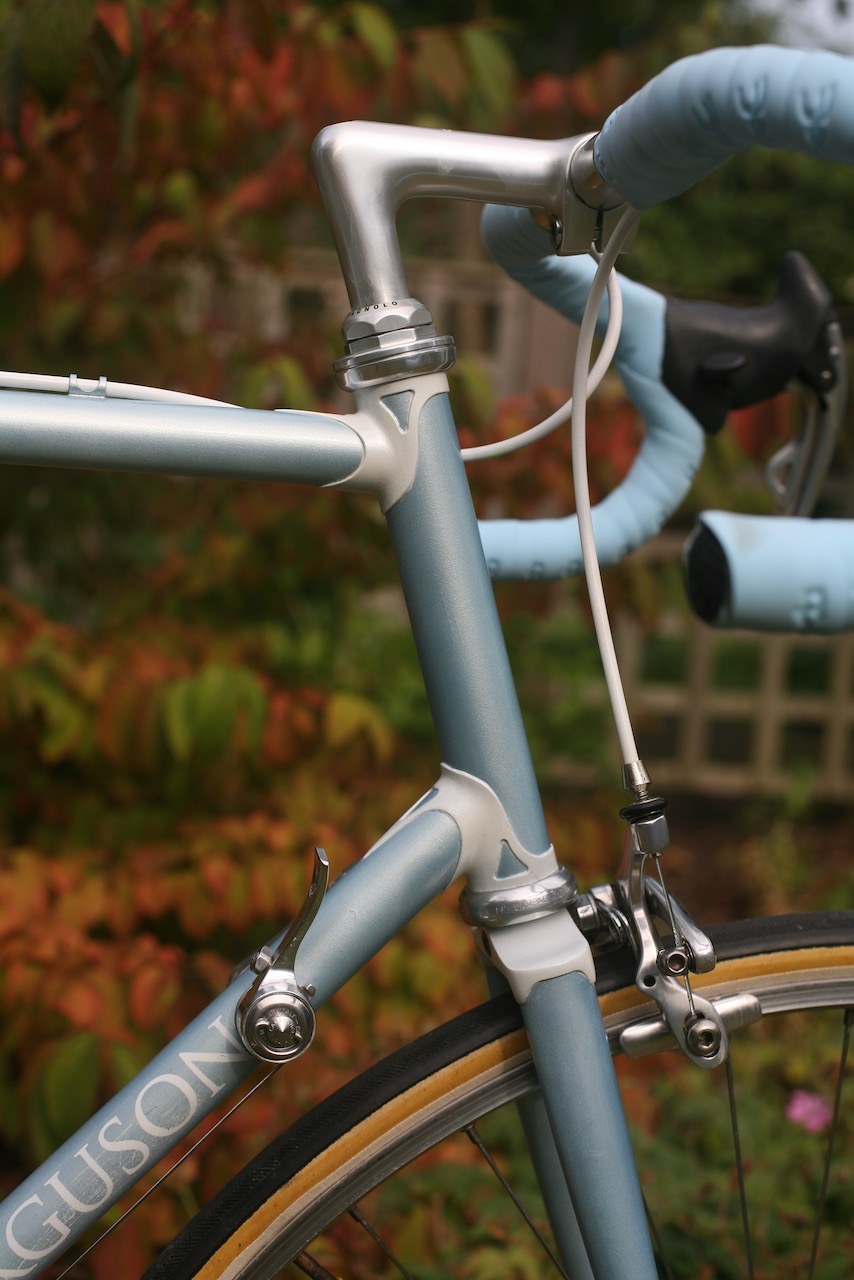Lugs kept white