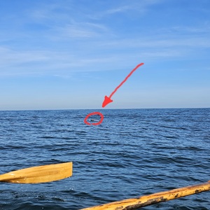 Seal